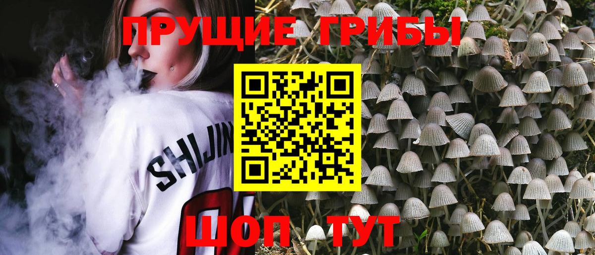Галлюциногенные грибы GOLDEN TEACHER Михайловка