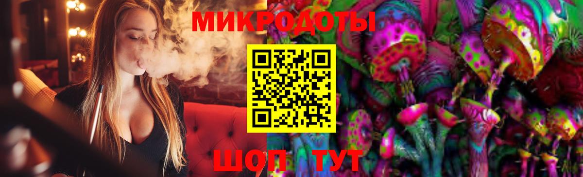 Псилоцибиновые грибы GOLDEN TEACHER  продажа наркотиков  Михайловка  Вход с VPN 