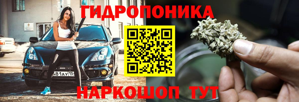 Канабис семена Михайловка